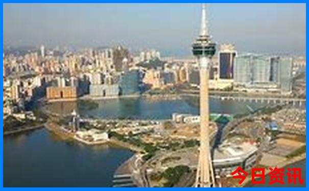 想报团旅游在哪里查看